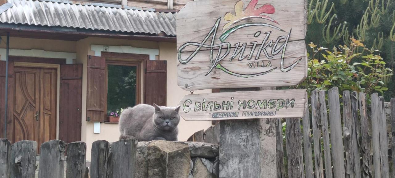 Hotel Arnika Tatarów Zewnętrze zdjęcie